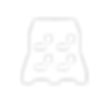 ALPASA_white_consolidacion