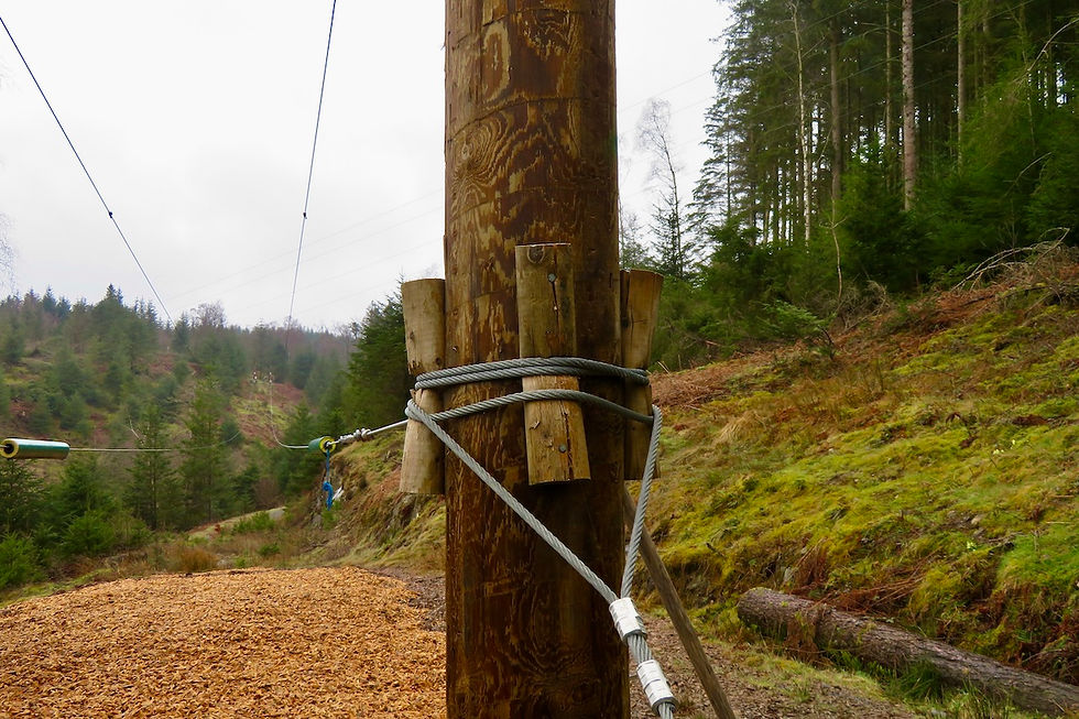A zipwire passes through Grizedale Forest