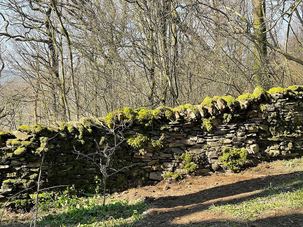 A Lakeland dry stone wall