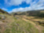 Lakeland has a plethora of dry-stone walls