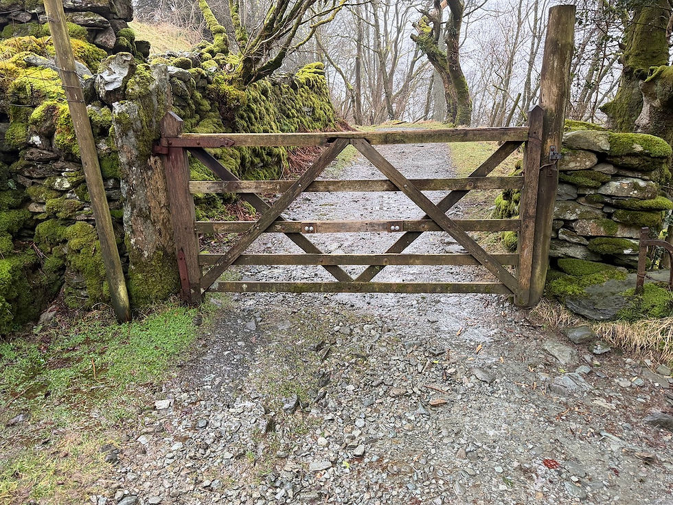 The gate at the entrance to my land