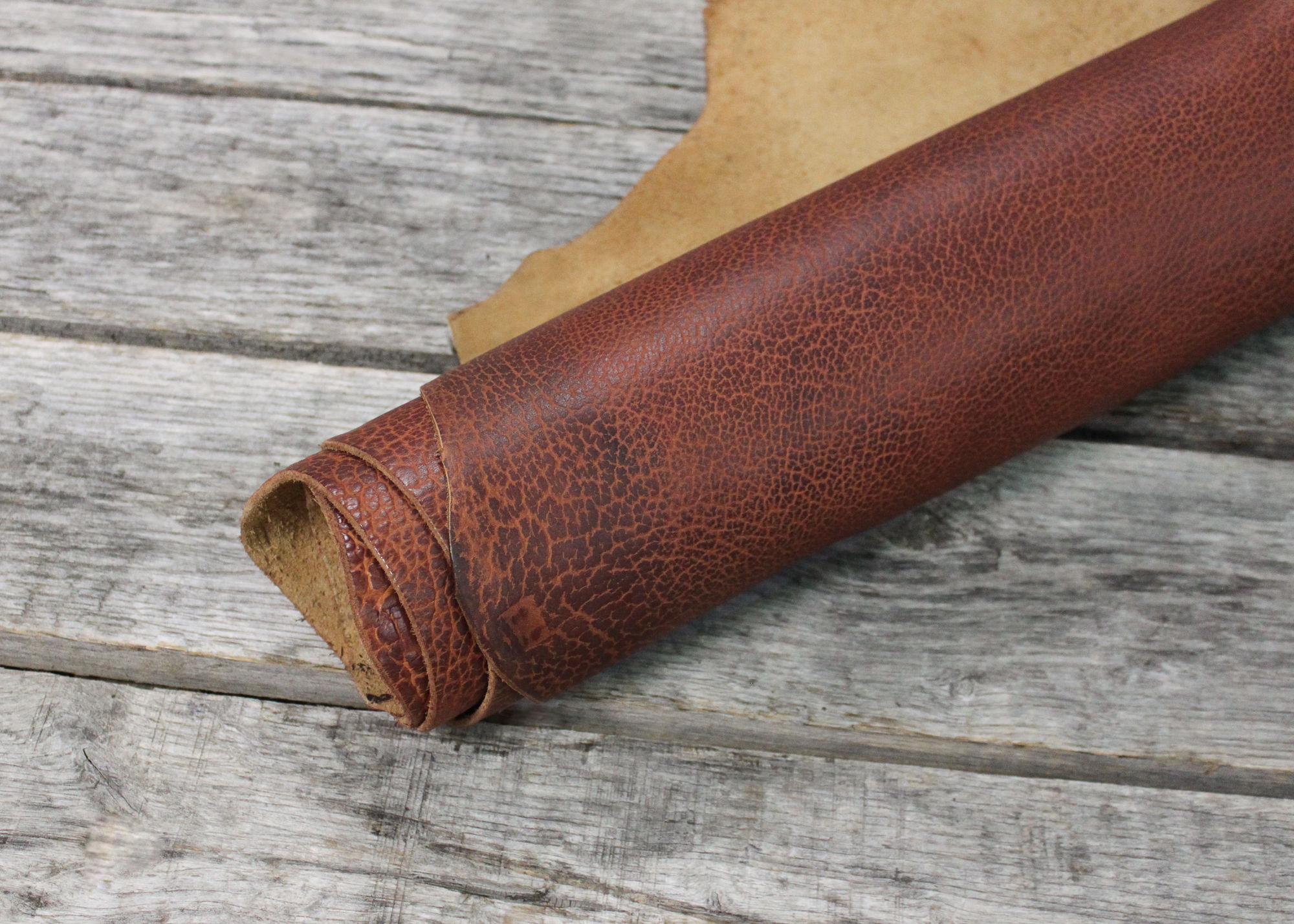 Peanut Bison Rolled on Wood