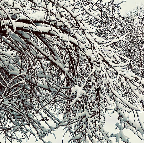 90E6BD0C-A0EB-4926-BE1A-C1ED62FE89B6_1_2