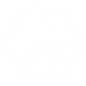shell-8-logo-png-transparent.png