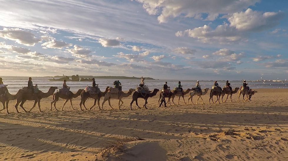 camelride.jpg