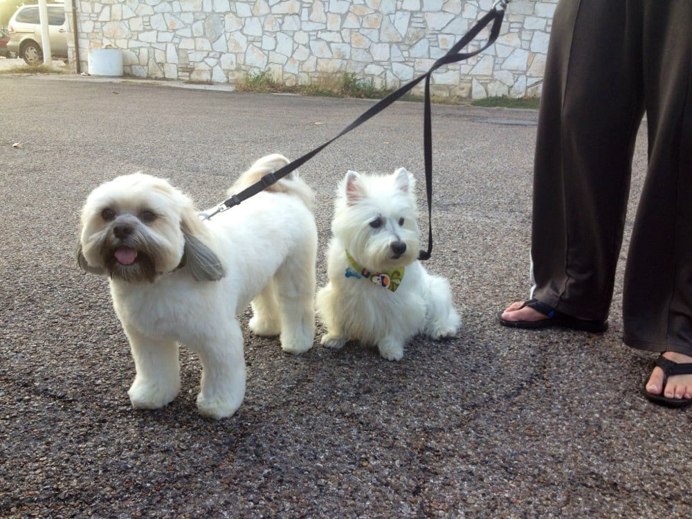 Groomingdale's of Austin