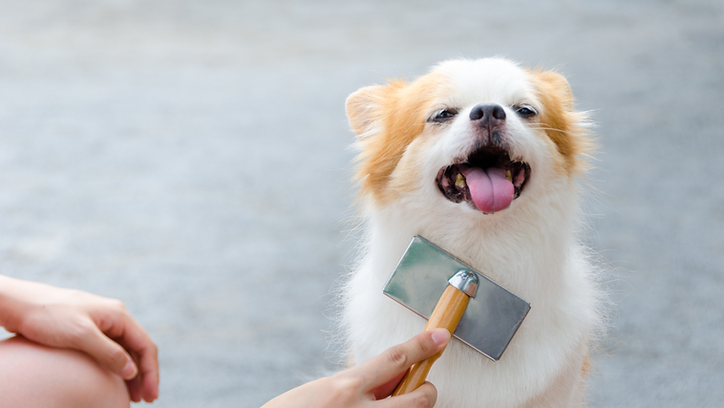 Untitled design(63).png