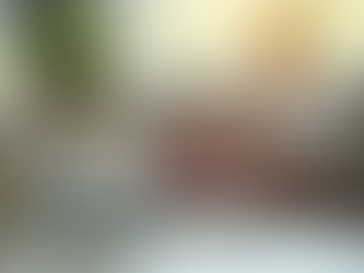 Safeguarding Your Online Identity: A Guide for Seniors