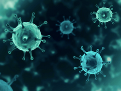 Screenshot 2021-11-25 at 6.29.28 PM