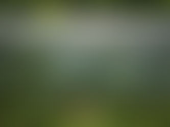靈境追尋初體驗