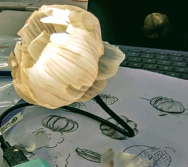 20181003_114659_HDR-1~2.jpg