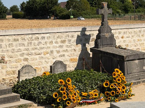 Van Gogh 