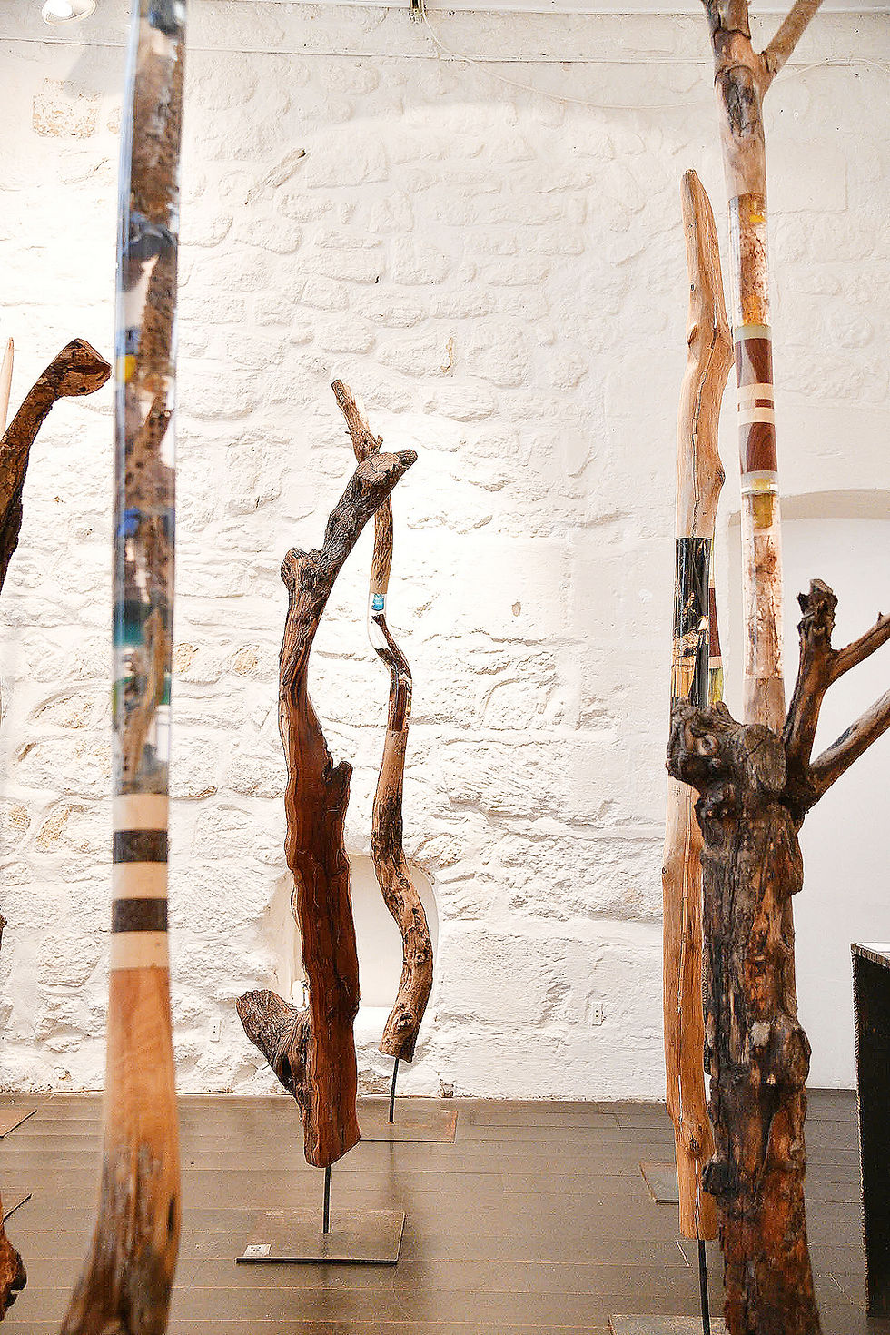 Vincent Lajarige à l’Atelier Visconti à Paris : la forêt comme mémoire verticale