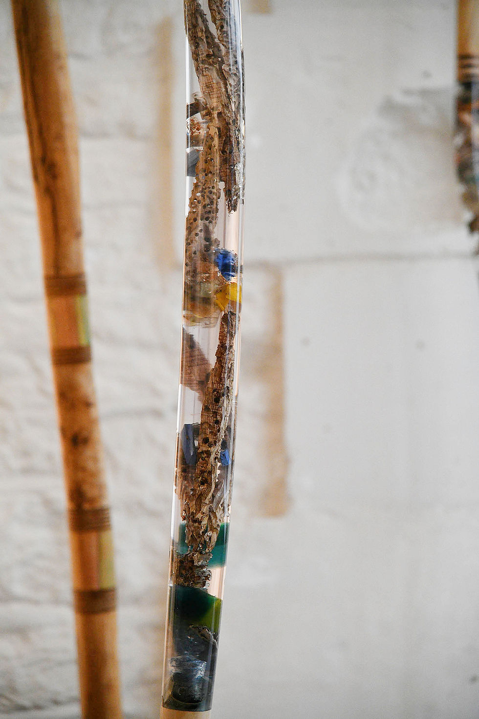 Vincent Lajarige à l’Atelier Visconti à Paris : la forêt comme mémoire verticale