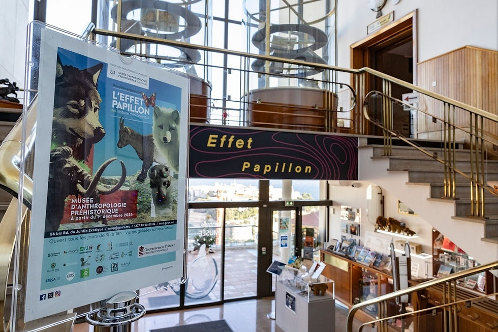 monaco expositions