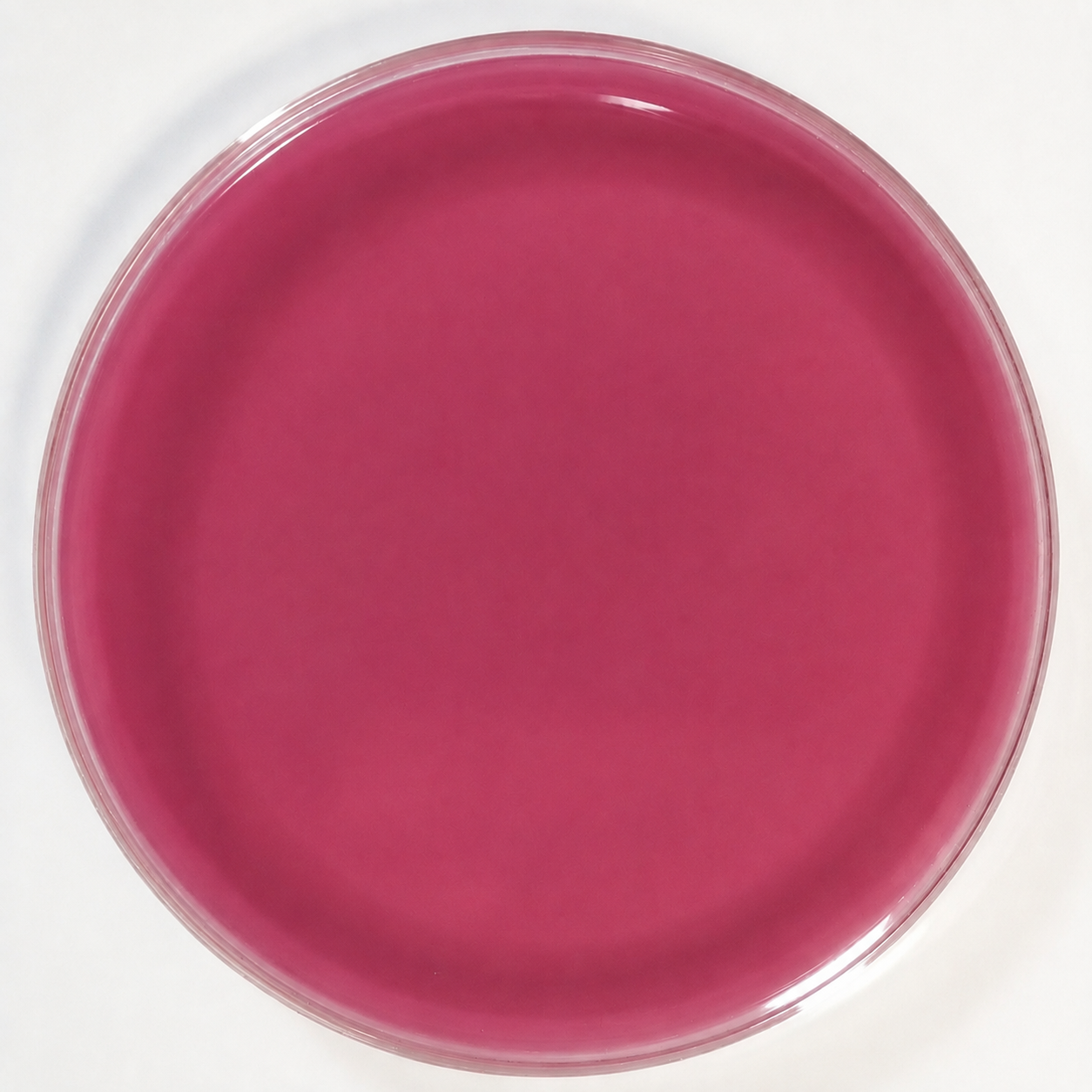 S2Media™ MacConkey (MAC) Agar