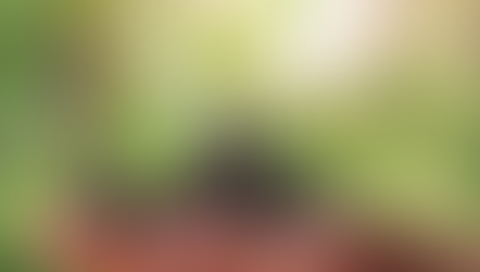 若々しさを保つ⁉️成長ホルモン