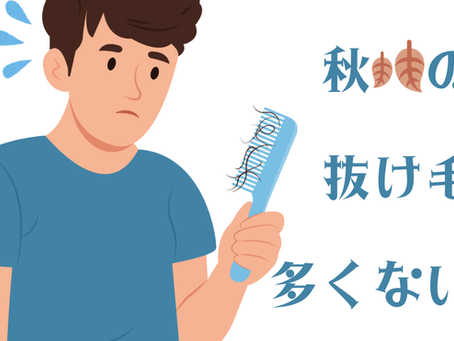 秋の抜け毛って多くない?