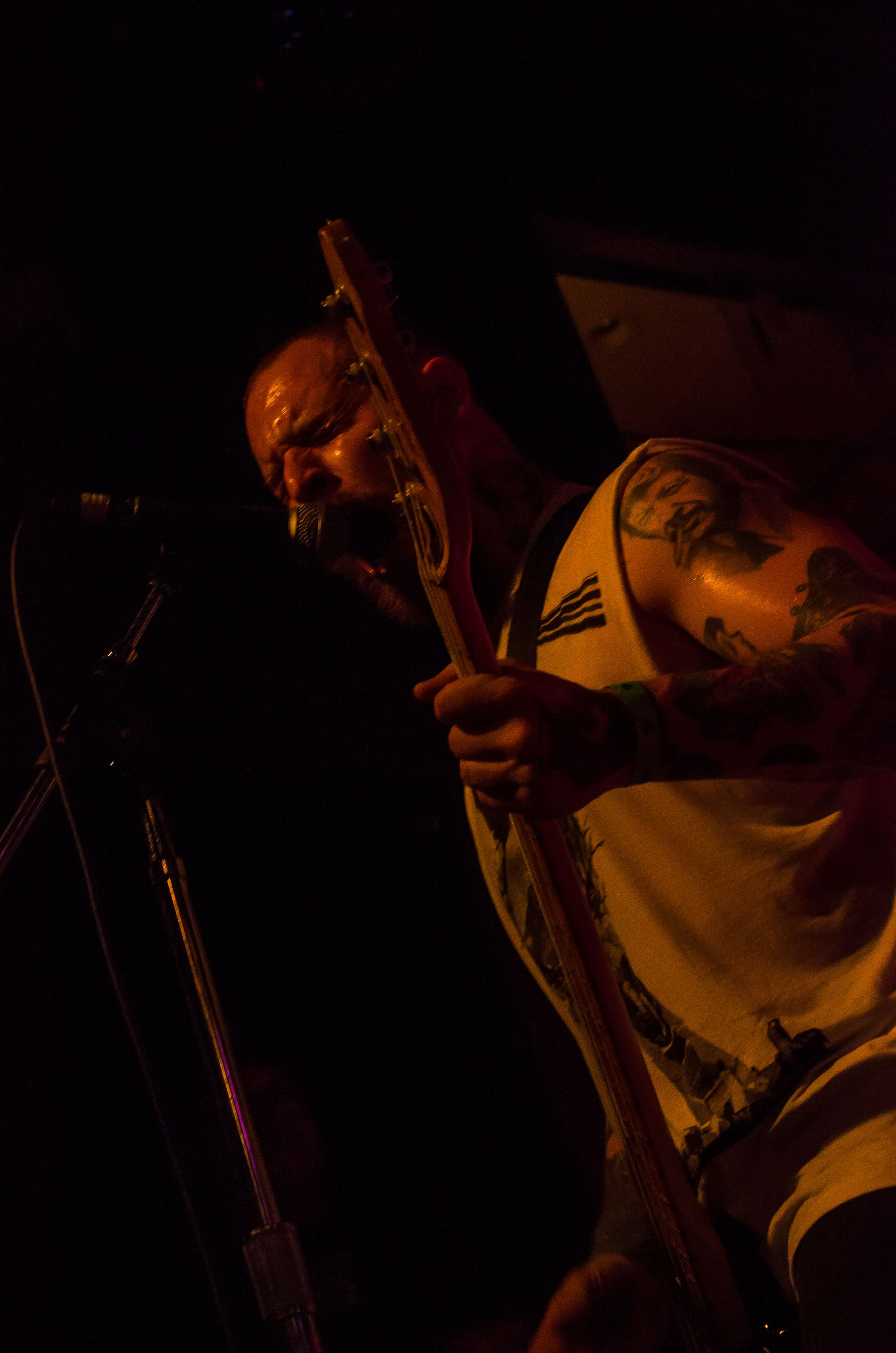 Lauren Hedges Photography Cancer Bats Lee's Palace Toronto