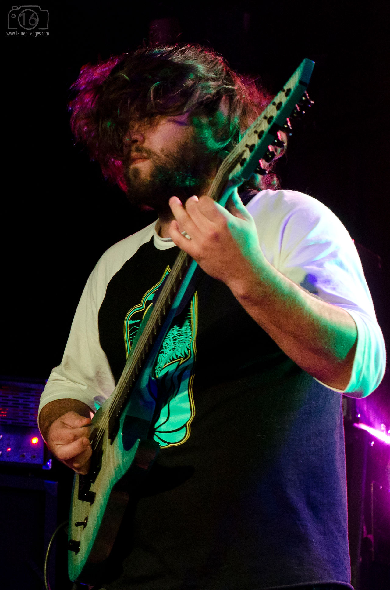 Gypsy Chief Goliath