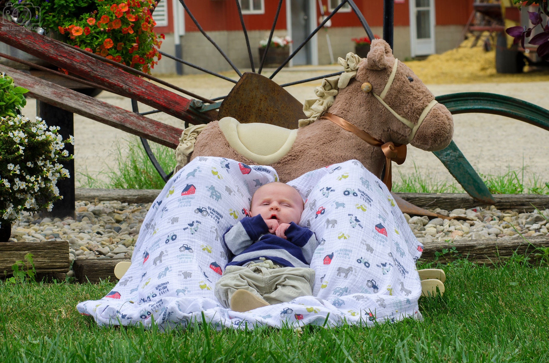 Lauren Hedges Photography Newborn