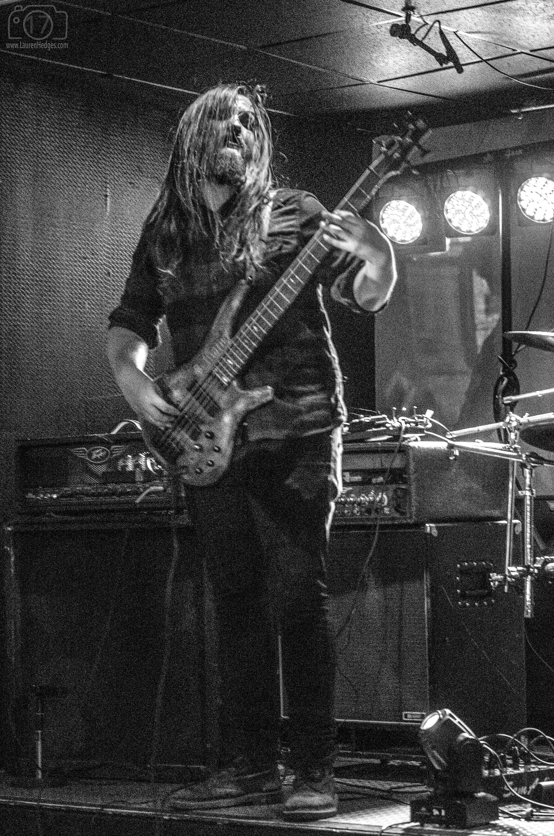 Lauren Hedges Photography Atria Rockstar Windsor