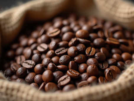 Finding the Best Light Roast Coffee Sources
