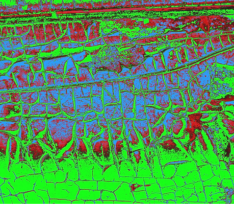 PhytoVision