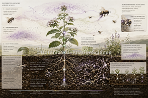 4© Botanical Simulation Science.png