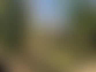 wednesday 25th february