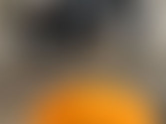 Saturday 6th December Wild Vision