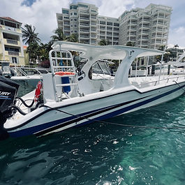 Swimming Pigs Tour Nassau Bahamas