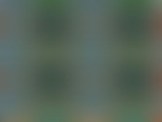 Fleur rose effet miroir