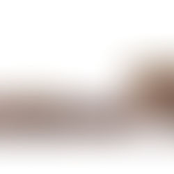 ST08 Construction de deux stations d'épuration à Banyuls-sur-Mer et Garéoult