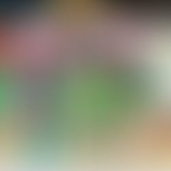 La Maison de l’architecture des territoires varois - Altana - célèbre la Journée Nationale de l’Architecture avec une touche poétique