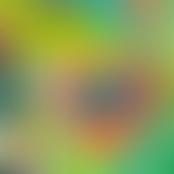 Collage. Collection Hiver