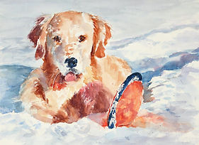 Nancy Sullo Portrait of Kai.jpg