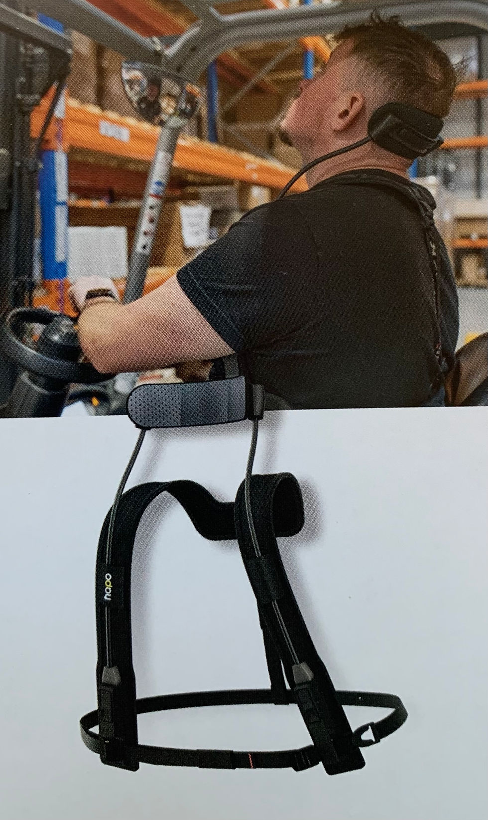 Hapo neck.jpg