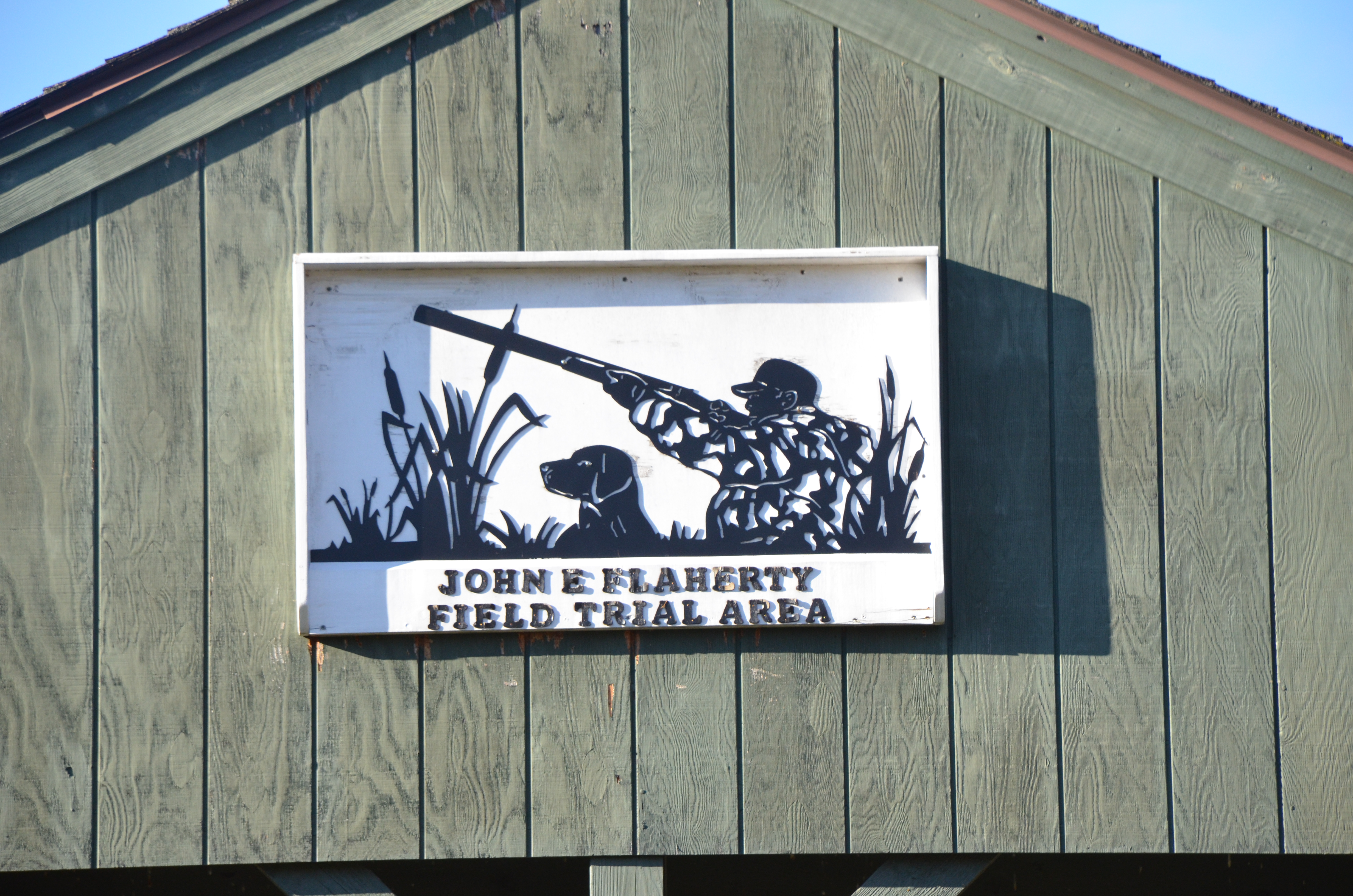 Field Trials Nutmeg German Shorthaired Pointer Club CT