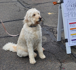 36 20250510_095554.jpg