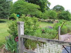 07 IMG_3698