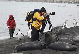 Wildlife Artis and Photographer S.K.Schafer in her office on Salisbury Plain, South Georgia