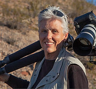 The office of wildlife artist and photographer S.K.Schafer in Mongolia