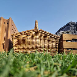 picnic equipment on the grass