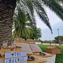 elegant picnic set up under a palm in a park