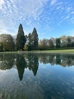 paysage
