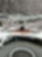 neige5.jpeg