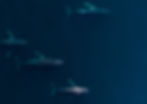 Silent Passage- Small.jpg