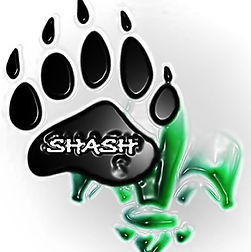 Logo%20shash_edited.jpg