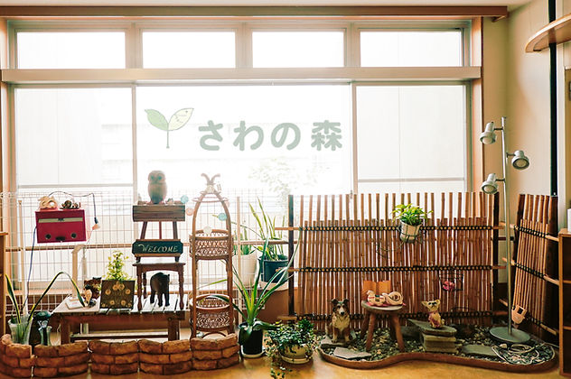 素材13.jpg